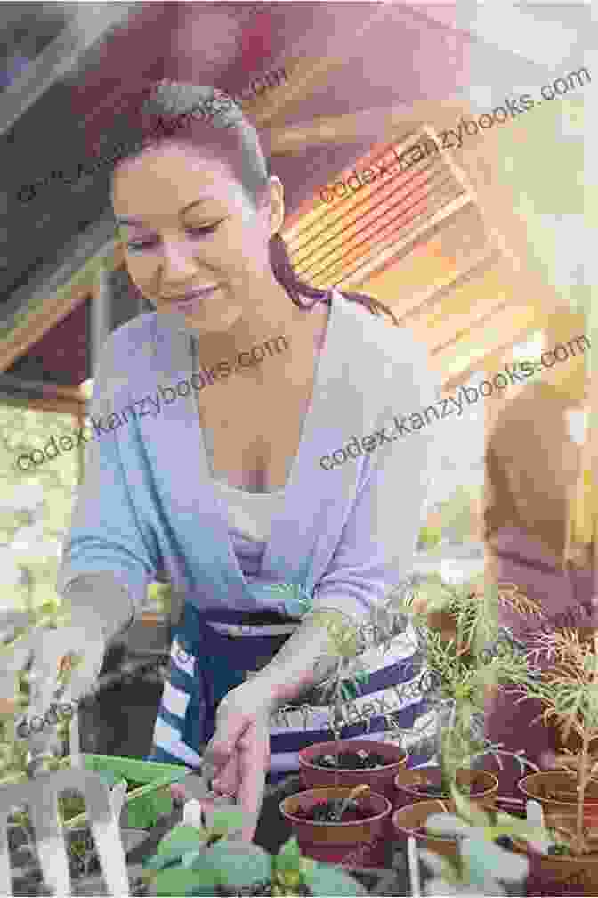 A Woman Tending To A Garden Of Medicinal Herbs. Forever Young:: Simple Alternative Therapies For Life Long Health