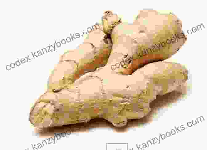 Image Of Fresh Ginger Root Healthy Heart: Strengthen Your Cardiovascular System Naturally (Medicinal Herb Guide )