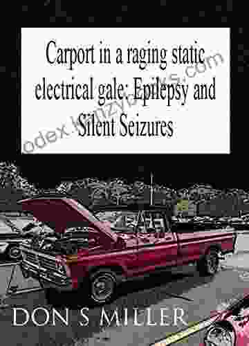 Carport In A Raging Static Electrical Gale: Epilepsy And Silent Seizures