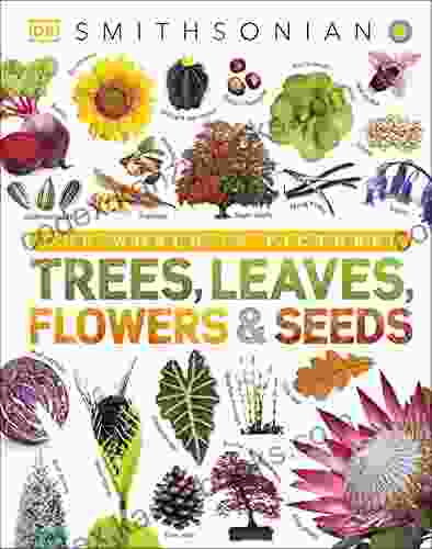 Our World In Pictures: Trees Leaves Flowers Seeds: A Visual Encyclopedia Of The Plant Kingdom