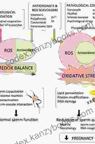 Oxidative Stress In Human Reproduction: Shedding Light On A Complicated Phenomenon (Springerbriefs In Reproductive Biology)