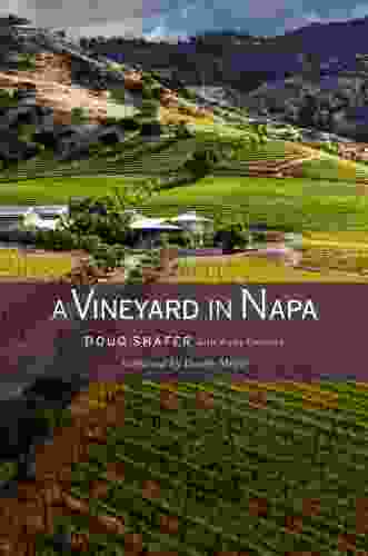 A Vineyard In Napa Doug Shafer